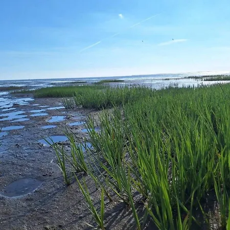 2 Person In V-by Traum *